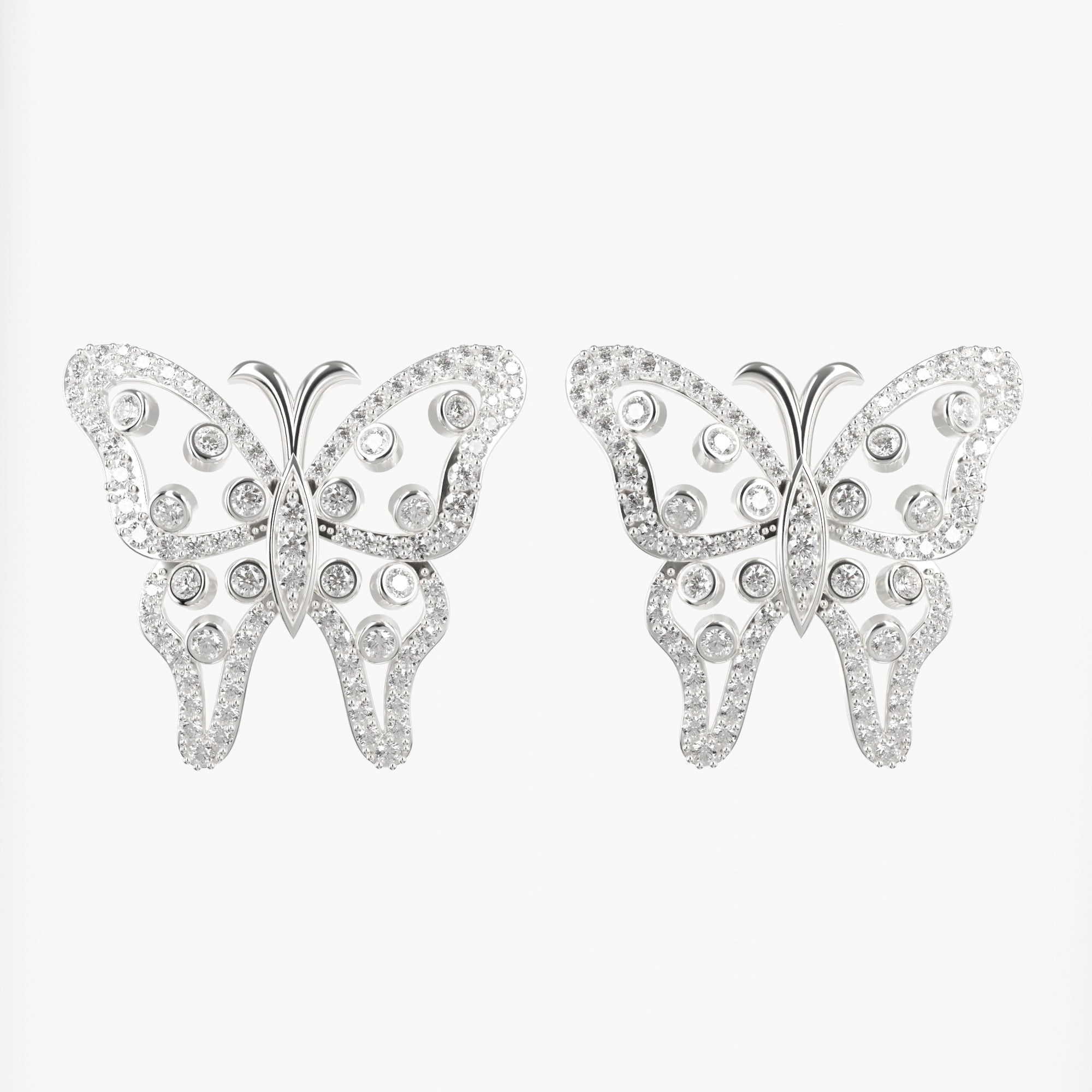 PAPILLORA