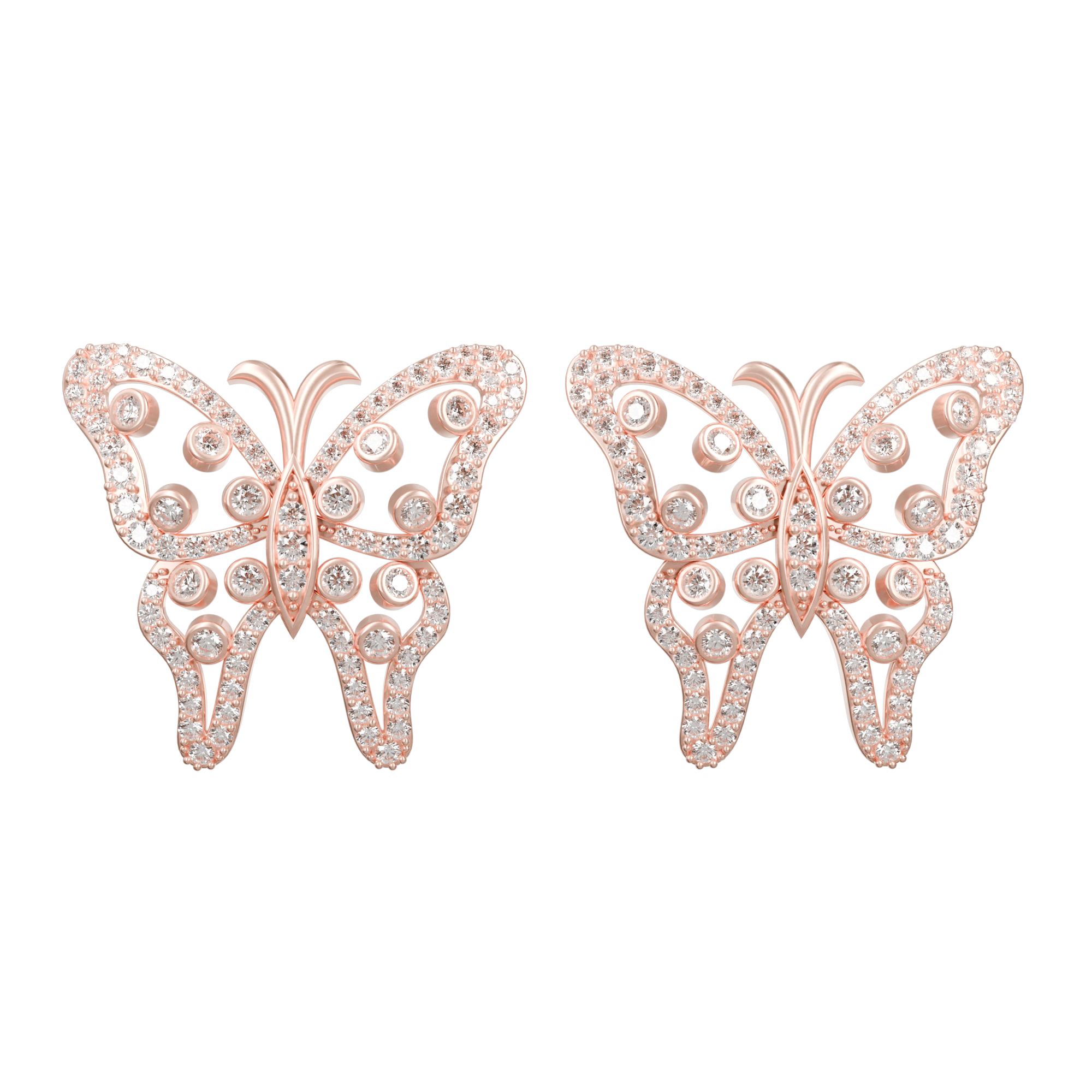 ER43 - PAPILLORA