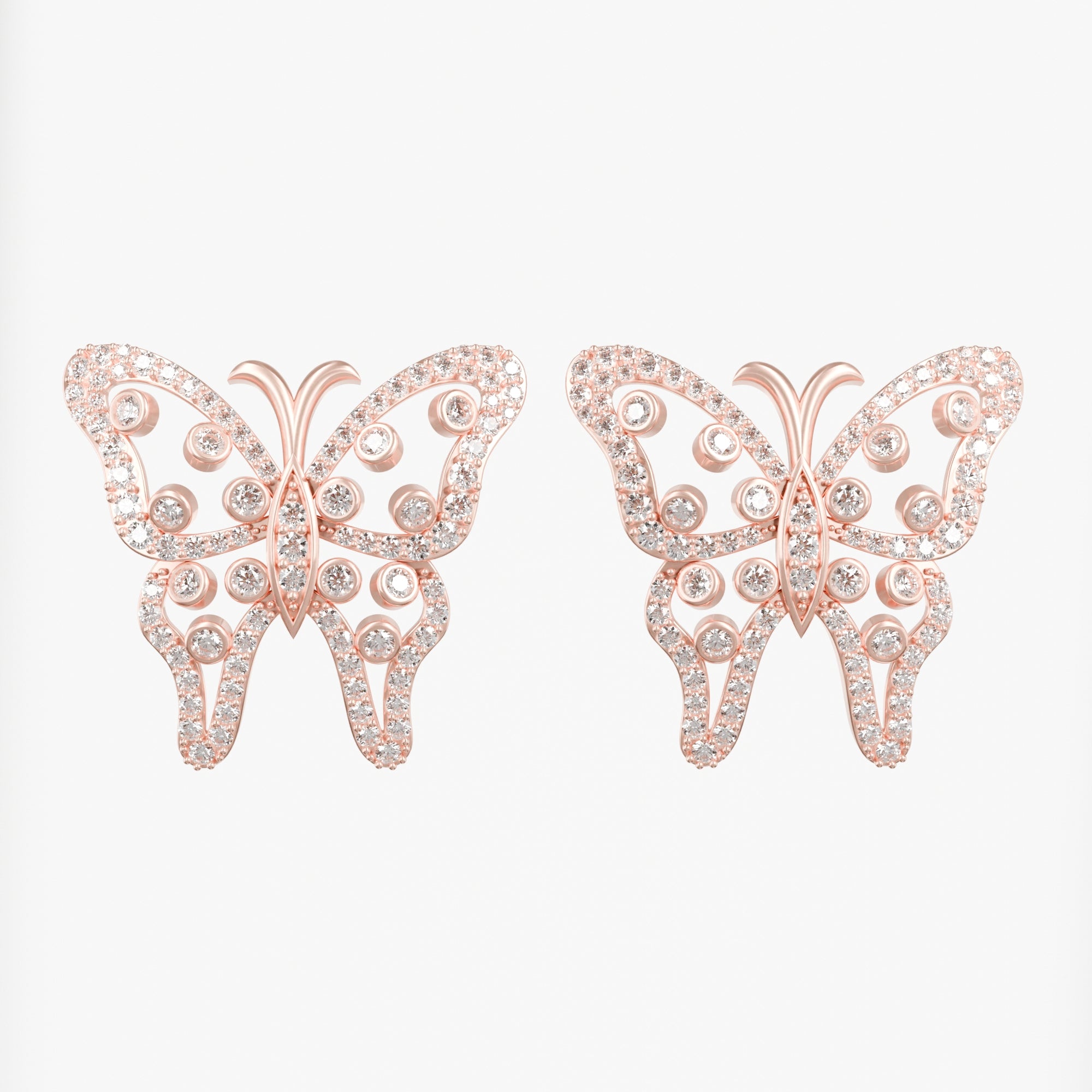 PAPILLORA