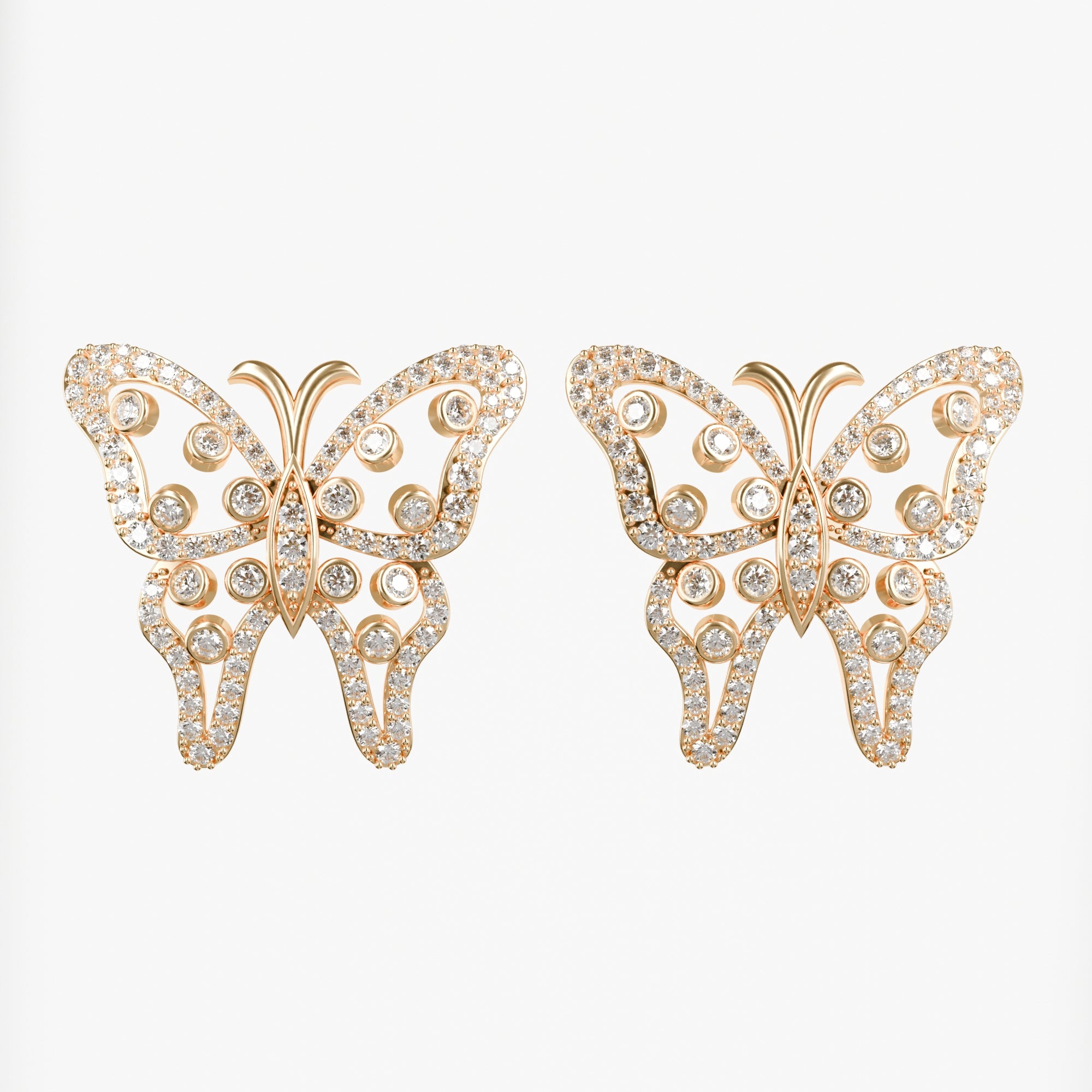 PAPILLORA